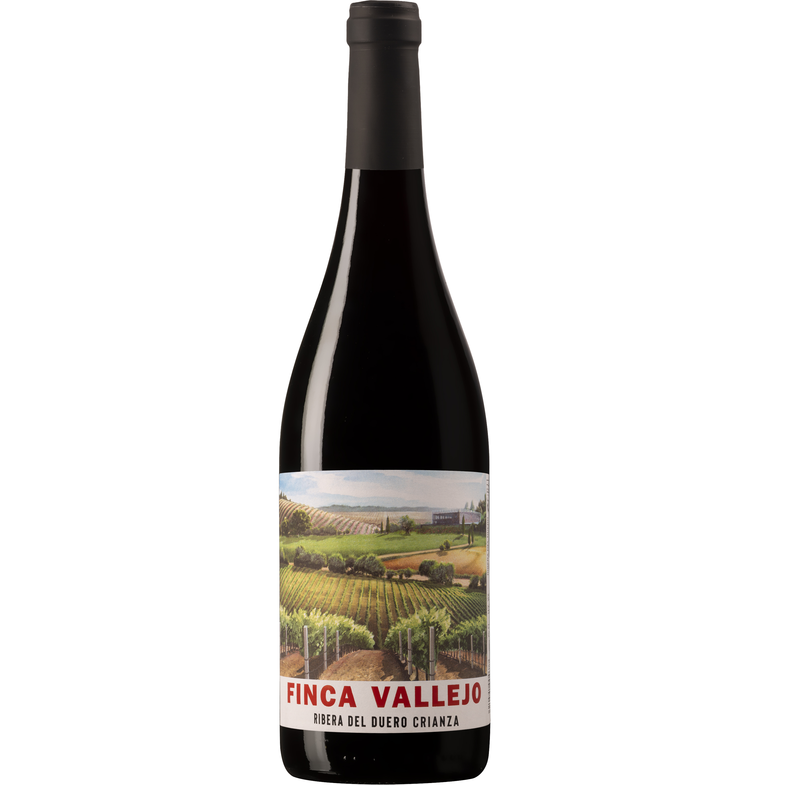 FINCA VALLEJO CRIANZA 75X6